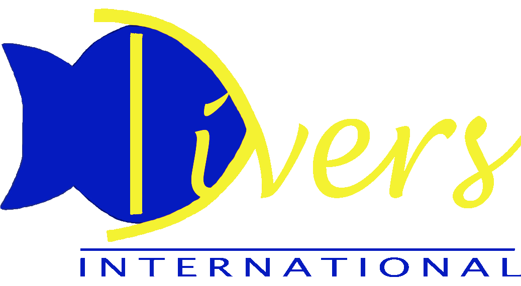 Divers International, biedt accommodatie voor duikers bij Oriental Rivoli Hotel in Na'ama Bay tegen speciale gereduceerde tarieven voor ons duikcentrum. Zie onze nieuwe website van het bedrijf zonder flitser menu's!