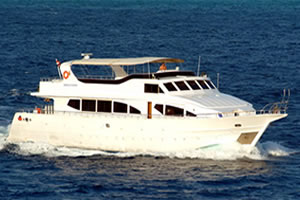 M/Y Discovery Duik cruise safari boot in Zuiden Rode Zee Egypte
