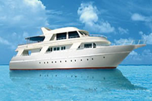 M/Y Diveone Duik cruise safari boot in Zuiden Rode Zee Egypte