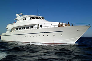 M/Y Excellence Duik cruise safari boot in Zuiden Rode Zee Egypte