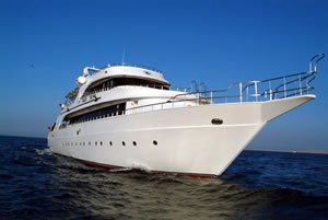M/Y Golden Dolphin Duik cruise safari boot in Zuiden Rode Zee Egypte