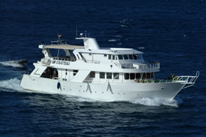 M/Y Sir Coosteau Duik cruise safari boot in Zuiden Rode Zee Egypte