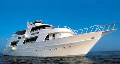 M/Y Samaa Duik cruise safari boot in Zuiden Rode Zee Egypte